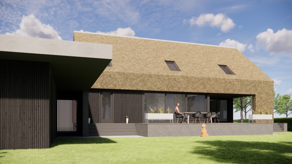 3D Render van moderne schuurwoning met rieten zadeldak en houten gevels 7