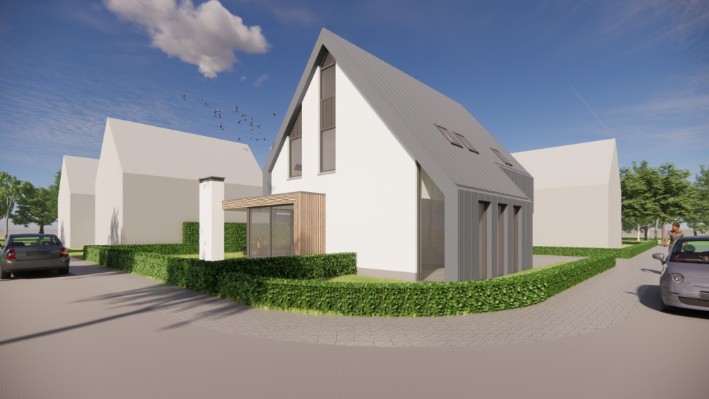 3D Render van moderne woning met metalen zadeldak en houten accenten 2
