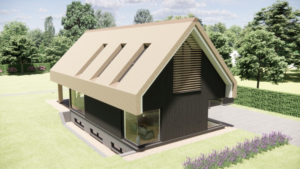 3D Render van moderne zwarte houten schuurwoning met zadeldak 6